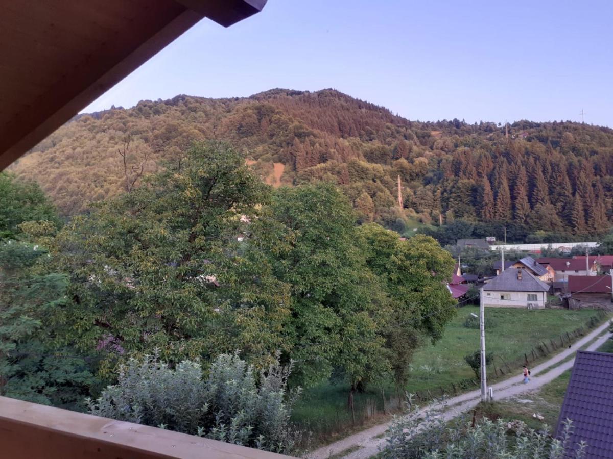 Отель Casa Mara Вишеу-де-Сус Экстерьер фото