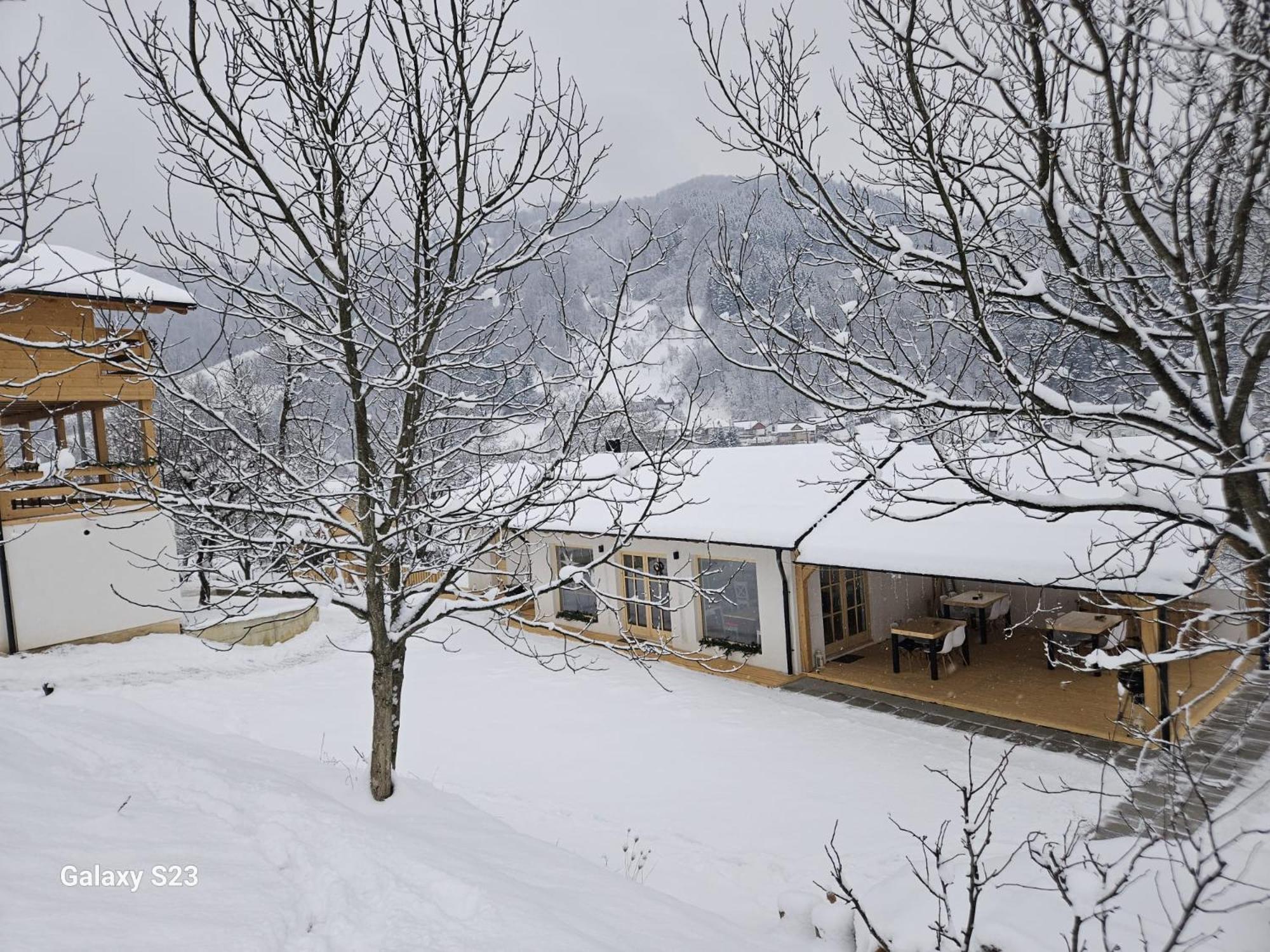 Отель Casa Mara Вишеу-де-Сус Экстерьер фото