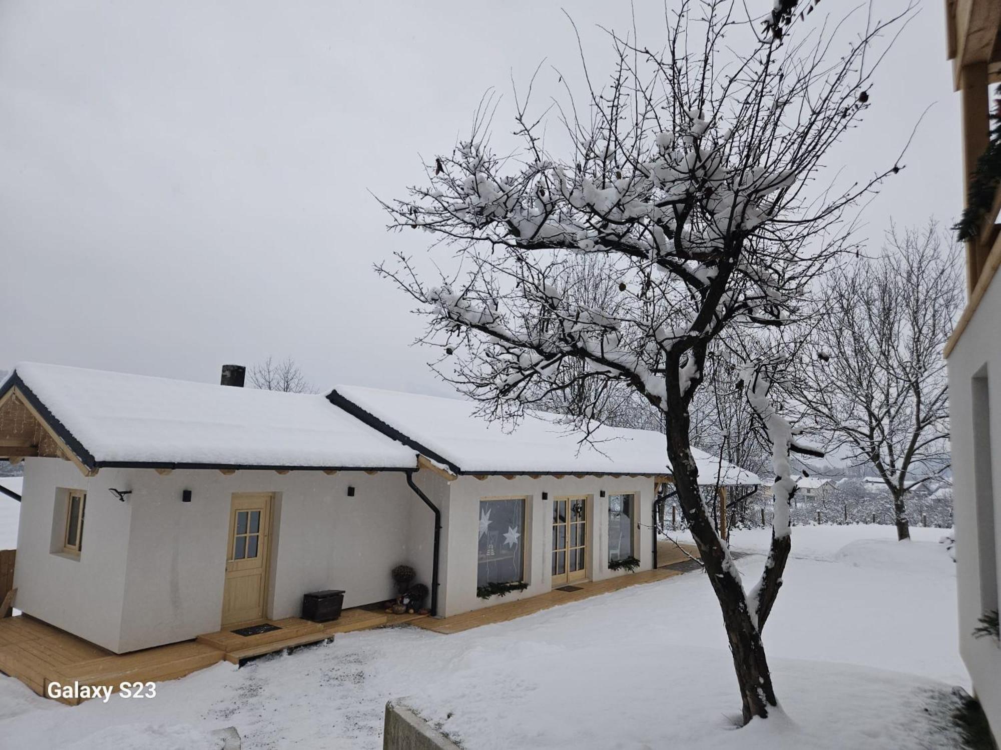 Отель Casa Mara Вишеу-де-Сус Экстерьер фото