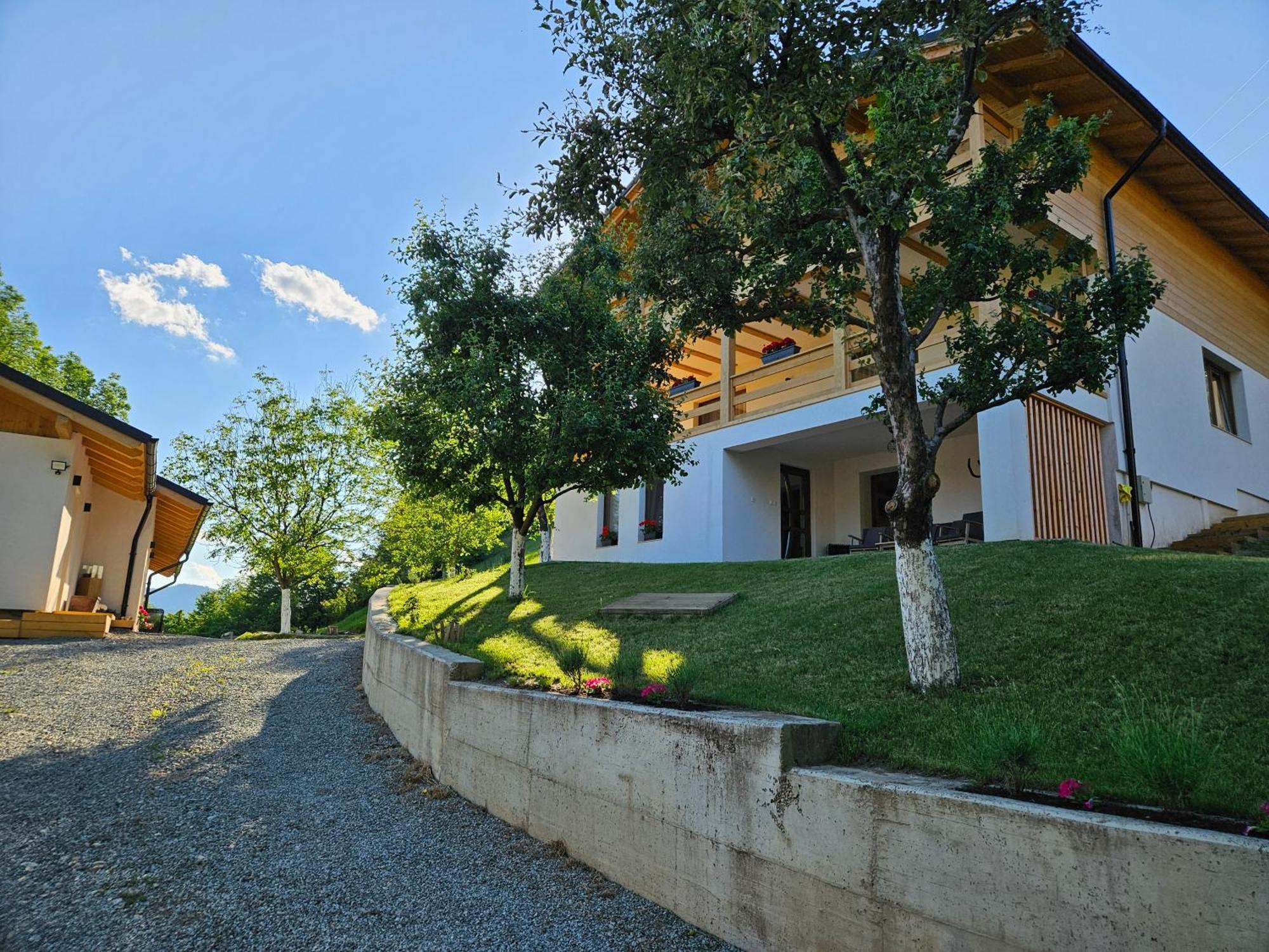 Отель Casa Mara Вишеу-де-Сус Экстерьер фото